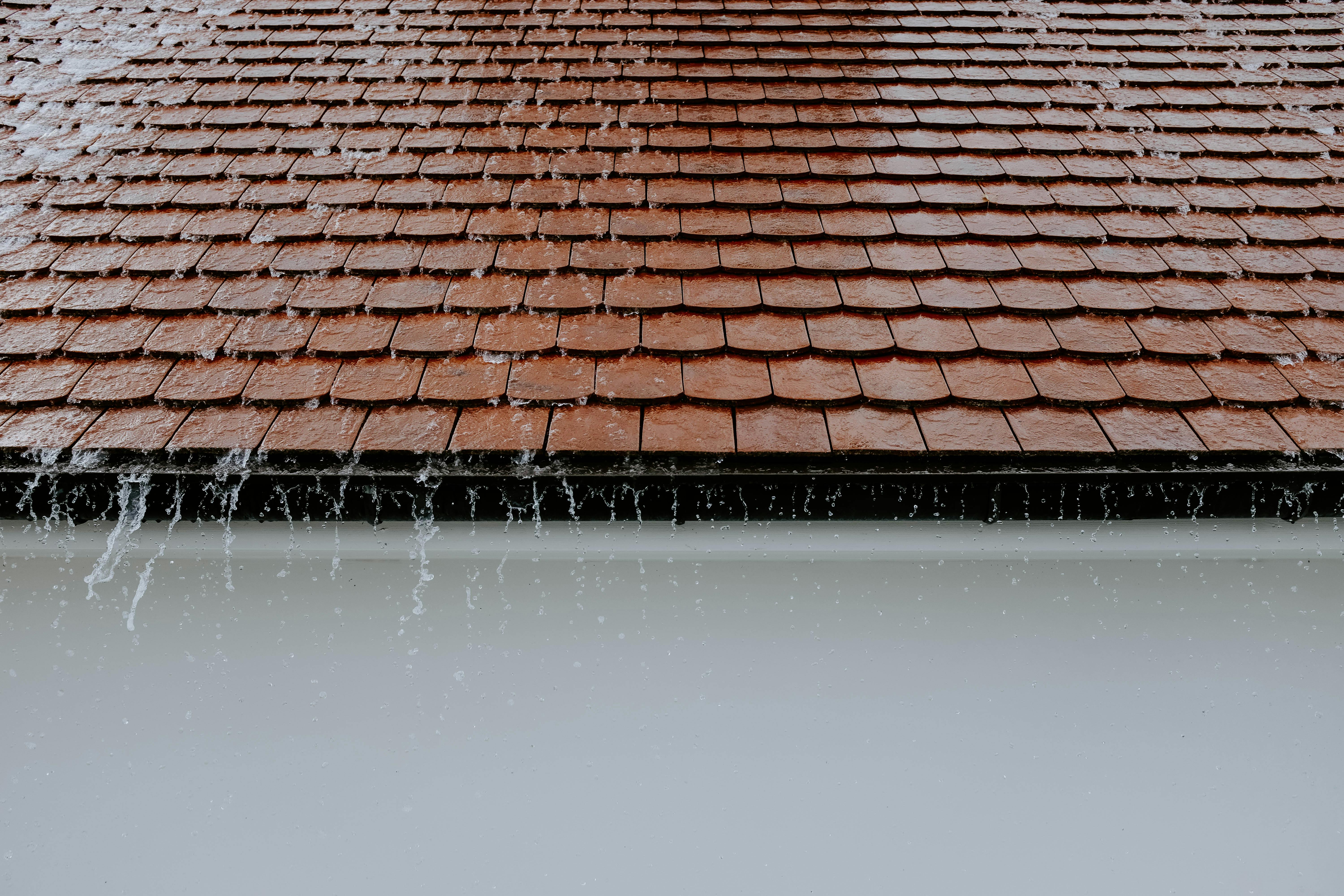 Gutter Services